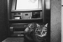 СберБанк, с рейтингом 3 - находится по адресу Кострома, улица Сусанина Ивана, 27 