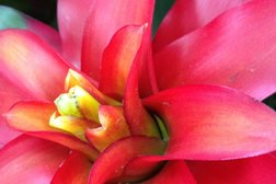 Цветочный магазин Флоранж, с рейтингом 3.6 - находится по адресу Республика Башкортостан, Уфа, улица Ферина, 9 к1 