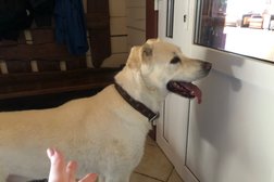 Эко-усадьба Молодильно, с рейтингом 2.3 - находится по адресу Новгородская область, Молодильно деревня, 29 