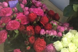 Салон цветов Миллион роз, с рейтингом 4.3 - находится по адресу Белгород, Гражданский проспект, 53 