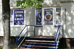 Зоопарикмахерская Чара, с рейтингом 3.7 - находится по адресу Санкт-Петербург, улица Руднева, 22 к1 