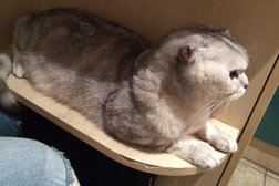 Торговый комплекс Галерея, с рейтингом 3 - находится по адресу Самара, проспект Кирова, 226в 