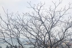 Мини-отель Port house, с рейтингом 4 - находится по адресу Владивосток, Почтовая улица, 2 