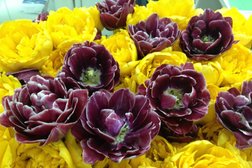 Северо-Кавказский федеральный университет Издательско-полиграфический комплекс, с рейтингом 3 - находится по адресу Ставрополь, проспект Кулакова, 2 