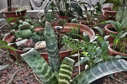 ЗАГС Фрунзенского района, с рейтингом 3.1 - находится по адресу Санкт-Петербург, проспект Славы, 31 