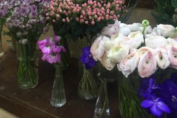 Студия цветов La Rose, с рейтингом 4.8 - находится по адресу Новосибирск, Советская улица, 55 
