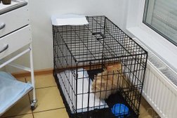 Ветеринарная клиника Эльф, с рейтингом 1.9 - находится по адресу Пермский край, Соликамск, проспект Ленина, 36в 