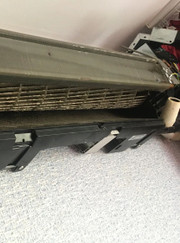 Выгульщик собак, зооняня Александр Анатольевич Грибков