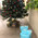 фотография Shop&Show