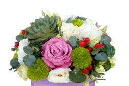 Цветочная база Flores, с рейтингом 3.5 - находится по адресу Липецк, Союзная, 6 