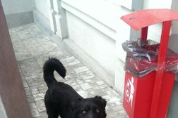 Супермаркет Магнит, с рейтингом 4.3 - находится по адресу Ростов-на-Дону, Нижегородская улица, 31/2 