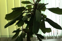 Ателье Изумруд, с рейтингом 5 - находится по адресу Пермь, улица Максима Горького, 83 