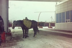 Автозаправка Султан, с рейтингом 3 - находится по адресу Ставропольский край, Михайловск, Объездная улица, 21 