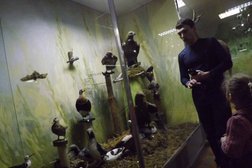 Курганский областной краеведческий музей, с рейтингом 3.5 - находится по адресу Курган, улица Пушкина, 137 