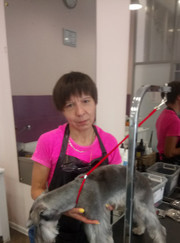 Грумер Елена Дуброва