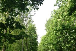 Торговый дом Гама-маркет, с рейтингом 2 - находится по адресу Москва, улица Гамалеи, 18 ст5 