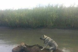 Детский центр развития Панда, с рейтингом 4.2 - находится по адресу Екатеринбург, Крауля, 51 