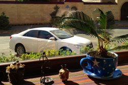 Кондитерская Причуды избушки, с рейтингом 4 - находится по адресу Республика Дагестан, Махачкала, улица Гамзата Цадасы, 8 