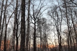 Кинологический стадион Сокольники, с рейтингом 3.4 - находится по адресу Москва, 2-й Лучевой просек, вл2 