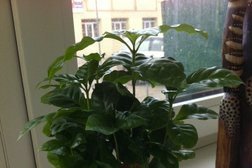 Столовая Съем слона, с рейтингом 3.3 - находится по адресу Красноярск, улица Академика Вавилова, 1с51 