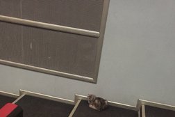 Кинотеатр Октябрь, с рейтингом 2.7 - находится по адресу Республика Дагестан, Махачкала, улица Коркмасова, 11 