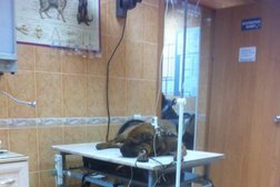 Ветеринарная клиника на улице Свободы, с рейтингом 3.1 - находится по адресу Кемеровская область — Кузбасс, Кемерово, Свободы, 6/1 