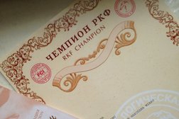 Владимирский областной клуб собаководства, с рейтингом 1.7 - находится по адресу Владимир, Октябрьский район, Веризино, 600000, Тракторная улица, 1А 