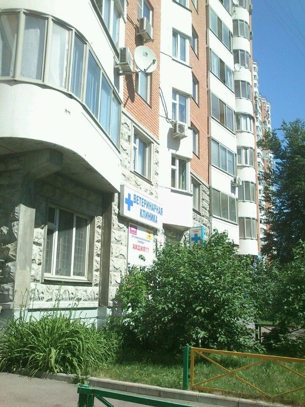 фотография Ветеринарной клиники Симба на Радужной улице
