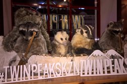Ресторан Twin Peaks, с рейтингом 4.1 - находится по адресу Казань, Баумана, 13 