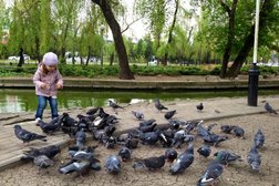 Городской сад им. М.Горького, с рейтингом 4.8 - находится по адресу Краснодар, Постовая, 34а 