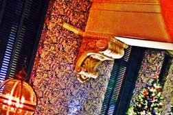 Чайхана Баранжар, с рейтингом 4 - находится по адресу Новосибирск, Советская улица, 18 