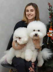 Грумер Ольга Владимировна Бровкина