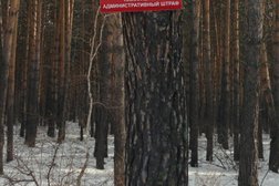 Гостевой дом-панорама Лес, с рейтингом 5 - находится по адресу Омская область, с. Новотроицкое, Лесная улица, 16 