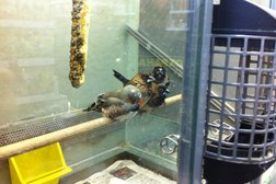 Зоомагазин Четыре лапы, с рейтингом 2.8 - находится по адресу Московская область, Одинцово, Вокзальная улица, 2 