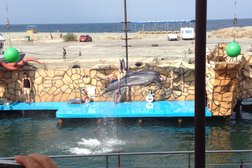 Анапский дельфинарий, с рейтингом 2.7 - находится по адресу Краснодарский край, с. Большой Утриш, Набережная улица, 1д 