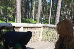 Малая медвежка