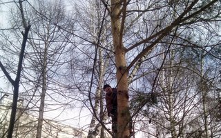 фотография работы фрилансера Николая Сергеевича Воронова