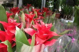 Оптовый центр Флоранж, с рейтингом 3 - находится по адресу Республика Башкортостан, Уфа, Цветочная, 11/1 