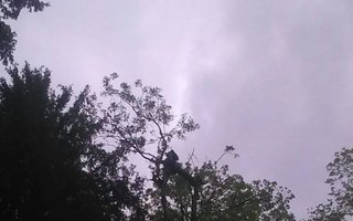 фотография работы фрилансера Николая Сергеевича Воронова