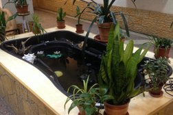 Колледж №1 колледж им. Н.А. Некрасова, с рейтингом 3.5 - находится по адресу Санкт-Петербург, улица Примакова, 10 