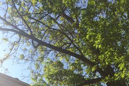 Супермаркет Азбука Вкуса, с рейтингом 4.2 - находится по адресу Москва, улица Чаянова, 14 