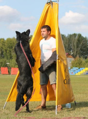 Кинолог Алексей Андреевич Еремин