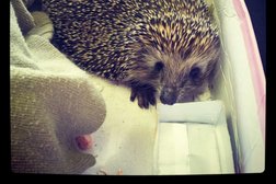 Центр информационных технологий Первый БИТ, с рейтингом 4.8 - находится по адресу Челябинск, улица Братьев Кашириных, 65Б 