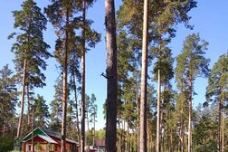 База отдыха Никоново, с рейтингом 2.8 - находится по адресу Пензенская область, ж/д ст. Никоново, Железнодорожная улица, 2Б 