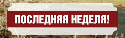 Неделя до. Последняя неделя. Последняя неделя акции. Картинка последняя неделя акции. Остался последний день акции.
