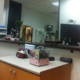 фотография Монро