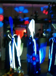 Организатор мероприятий Елена Каминская