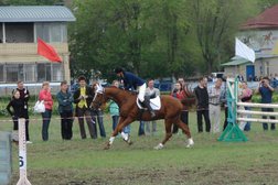 Саратовский ипподром, с рейтингом 3.3 - находится по адресу Саратов, Ипподромная улица, 12а к1 