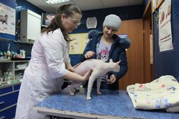 Ветеринарная клиника Рекс, с рейтингом 2.8 - находится по адресу Кемеровская область — Кузбасс, Кемерово, Ленинградский проспект, 36 