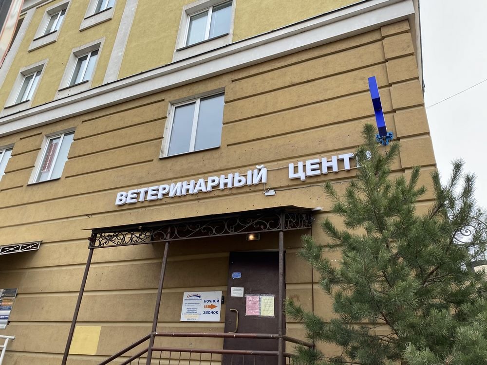 Зенком почтовая ул 8 звенигород фото Клиника ветеринарной медицины на Почтовой улице в Звенигороде, Москва - отзывы, 